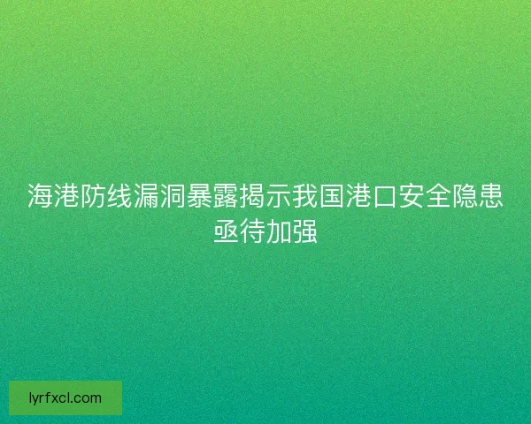 海港防线漏洞暴露揭示我国港口安全隐患亟待加强